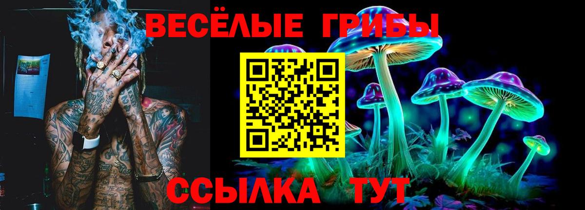 Галлюциногенные грибы Psilocybine cubensis  Вход с VPN  Галлюциногенные грибы Cubensis  Серов 