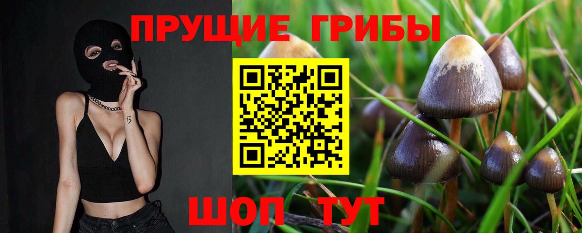 Галлюциногенные грибы Psilocybe Серов